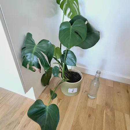 Apartment Spacious 120 Metres From Metro *
