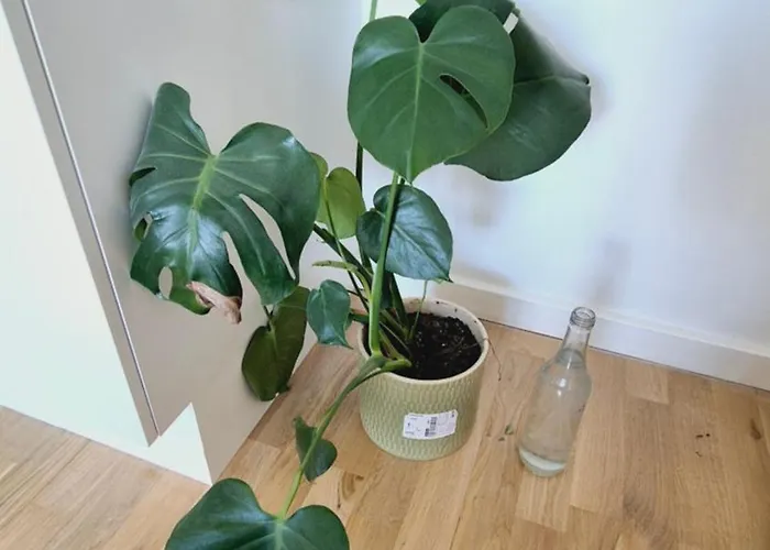 Lejlighed Spacious 120 Metres From Metro *